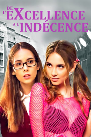 De l’eXcellence à l’indécence - From Straight A's to XXX (2017)