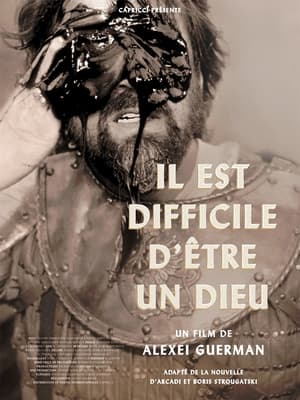 Il est difficile d'être un dieu - Hard to Be a God (2013)