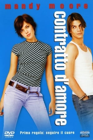 Contratto d'amore - How to Deal (2003)