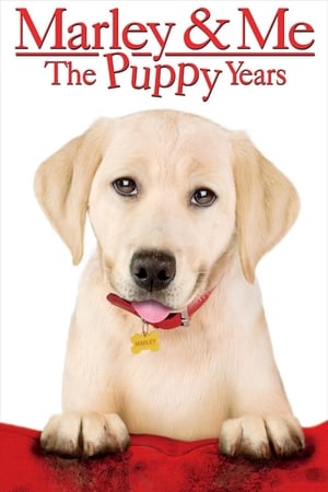 Eu și Marley: Anii de cățeluș - Marley & Me: The Puppy Years (2011)