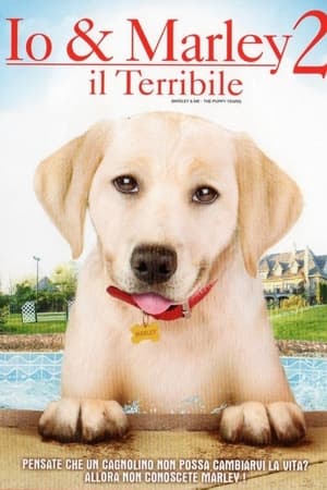 Io & Marley 2 - Il terribile - Marley & Me: The Puppy Years (2011)