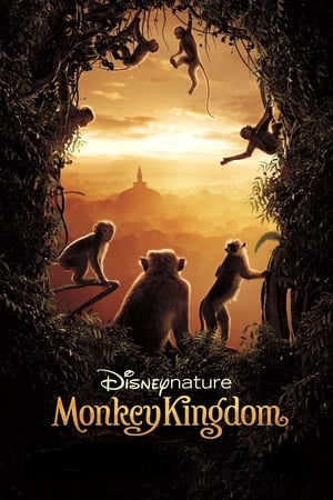 Regatul maimuțelor - Monkey Kingdom (2015)