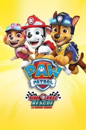 La Pat' Patrouille : La Grande Course - PAW Patrol: Ready, Race, Rescue! (2019)