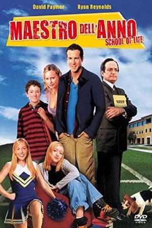 School Of Life - Maestro dell'Anno - School of Life (2005)