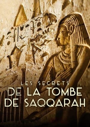 Les Secrets de la tombe de Saqqarah - Secrets of the Saqqara Tomb (2020)