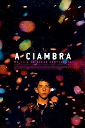 The Ciambra (2017)