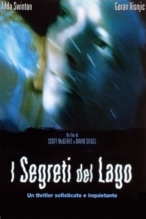 I segreti del lago - The Deep End (2001)