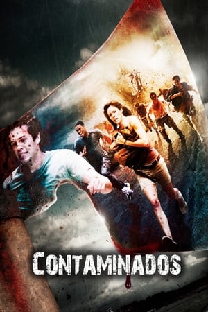 Contaminados - The Demented (2013)