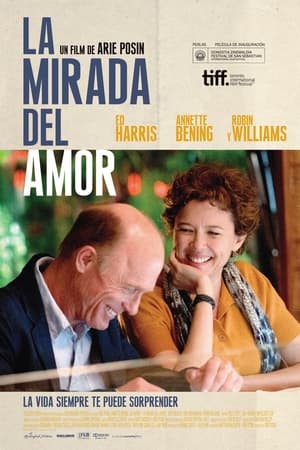 Reinventando el Amor - The Face of Love (2013)