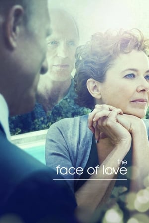 Fața dragostei - The Face of Love (2013)