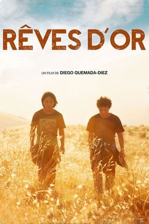 Rêves d'or - The Golden Dream (2013)
