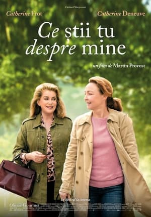 Ce știi tu despre mine - The Midwife (2017)