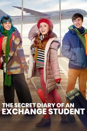 Journal d'une aventure new-yorkaise - The Secret Diary of an Exchange Student (2021)