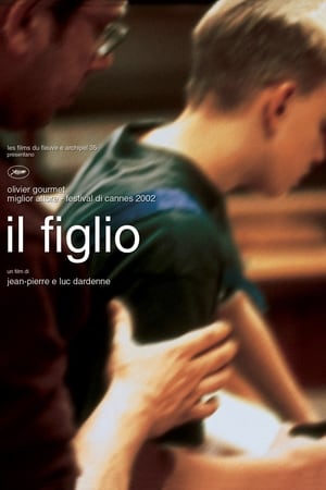 Il figlio - The Son (2002)