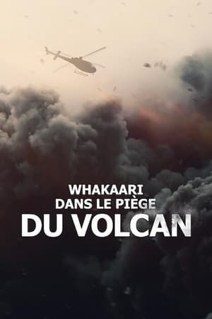 Whakaari : Dans le piège du volcan - The Volcano: Rescue from Whakaari (2022)