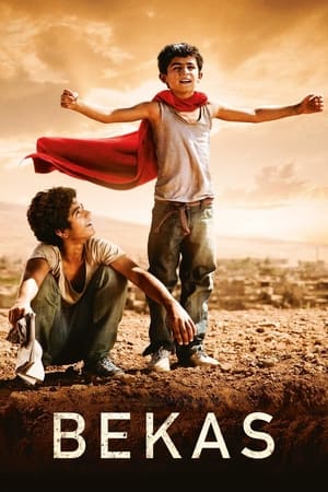 În căutarea lui Superman - Bekas (2012)