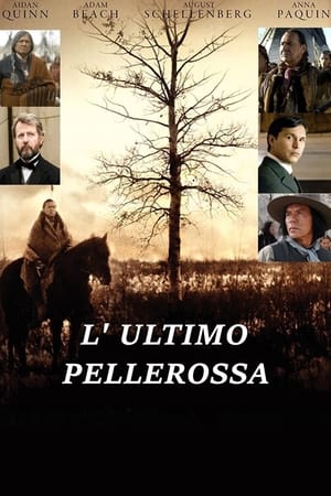 L'ultimo pellerossa - Bury My Heart at Wounded Knee (2007)