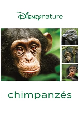 Chimpanzés - Chimpanzee (2012)