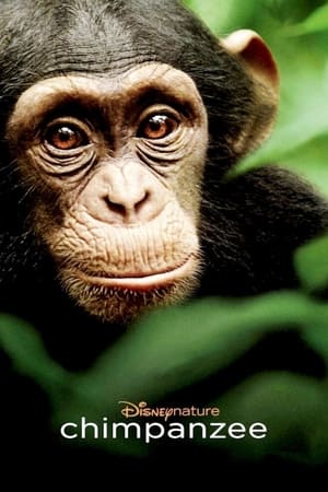 Cimpanzeul - Chimpanzee (2012)