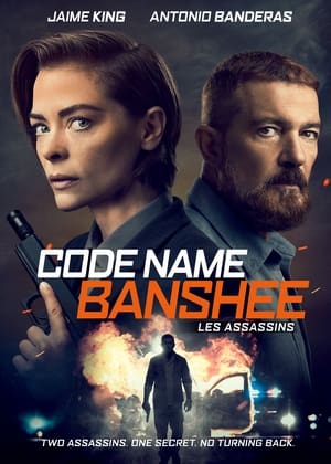 Les assassins - Code Name Banshee (2022)