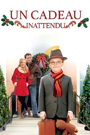 Un cadeau inattendu - Foster (2011)