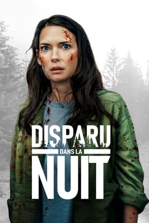 Disparu dans la nuit - Gone in the Night (2022)