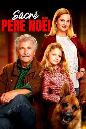 Sacré Père Noël - I'll Be Home for Christmas (2016)