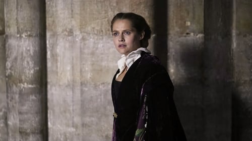 movies/2024-09-10/a-discovery-of-witches-2MJCEsWX0mi655syv1xyTKKK7iQ.jpg