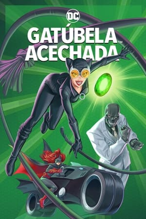 Catwoman: La caza - Catwoman: Hunted (2022)