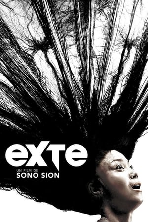 Exte - Exte: Hair Extensions (2007)