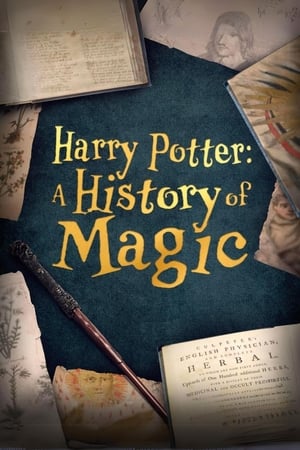 Harry Potter, aux origines de la magie - Harry Potter: A History Of Magic (2017)
