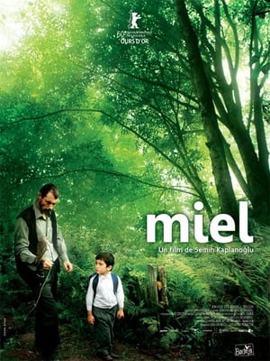 Miel - Honey (2010)