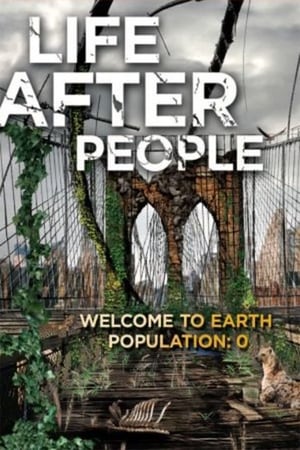Une vie après l'homme - Life After People (2008)