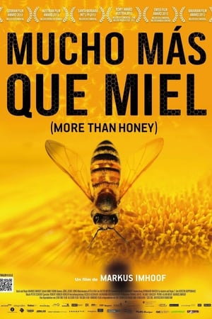 Mucho más que miel - More Than Honey (2012)