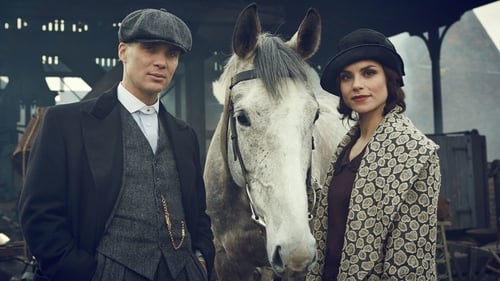 movies/2024-09-10/peaky-blinders-fYuAqoKidpju5IydzH335yRjgOh.jpg