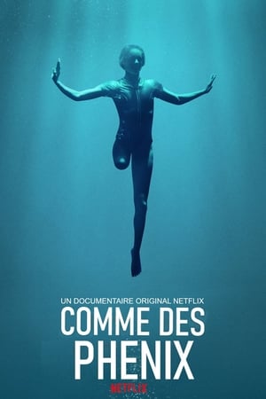 Comme des phénix : L'esprit paralympique - Rising Phoenix (2020)