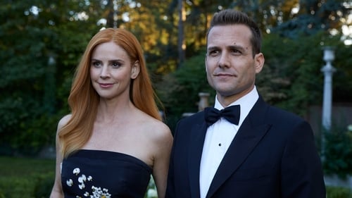 movies/2024-09-10/suits-lzw4qXowzj1jrBVq4nZTDLtJi8e.jpg