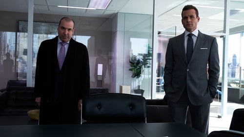 movies/2024-09-10/suits-mSgQpyuu92O13hOMiBcy0jrOUzO.jpg