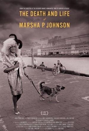 Marsha P. Johnson : Histoire d'une légende - The Death and Life of Marsha P. Johnson (2017)