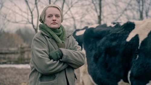 movies/2024-09-10/the-handmaids-tale-bUVLEoH4jEHFtE7dMmfs2l2uBNy.jpg