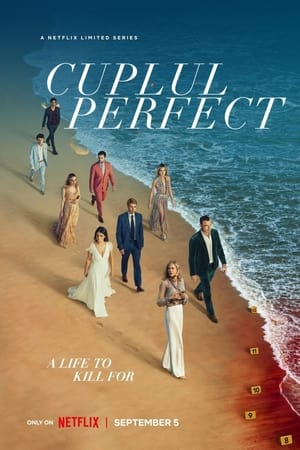 Cuplul perfect - The Perfect Couple (2024)