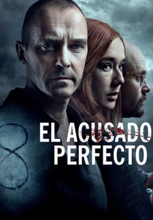 El acusado perfecto - The Perfect Patient (2019)