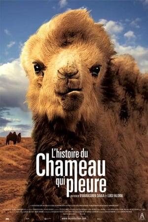 L'Histoire du chameau qui pleure - The Story of the Weeping Camel (2003)