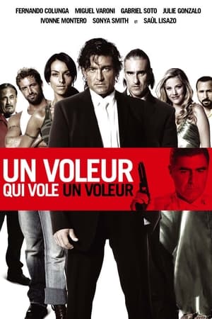 Un voleur qui vole un voleur - To Rob a Thief (2007)