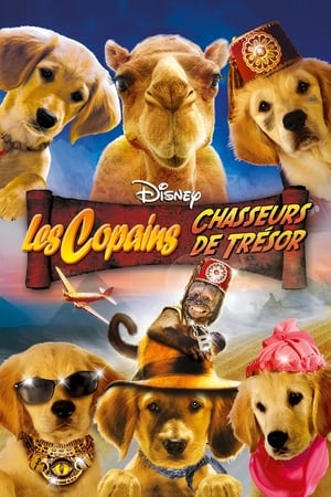 Les copains chasseurs de trésor - Treasure Buddies (2012)
