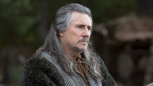 movies/2024-09-10/vikings-1AJBjizzwRviK9zrXiE7BIEu3Hs.jpg