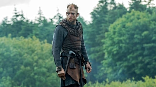 movies/2024-09-10/vikings-20zPLuo3g3YhN46kZDInzuuxFBt.jpg