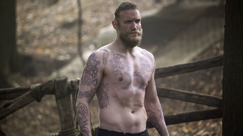movies/2024-09-10/vikings-5JLzDHobYMnwvx6wZhZJ7Lkxts2.jpg