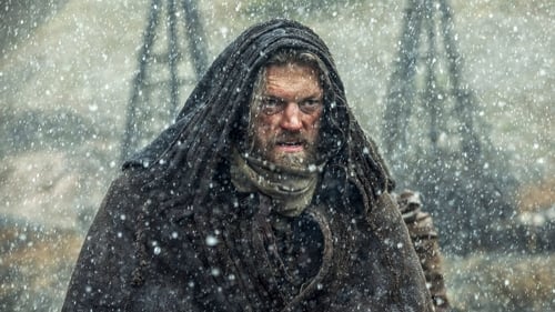 movies/2024-09-10/vikings-qHPuOA7CpaKJpIsPWEds2KSxqfH.jpg