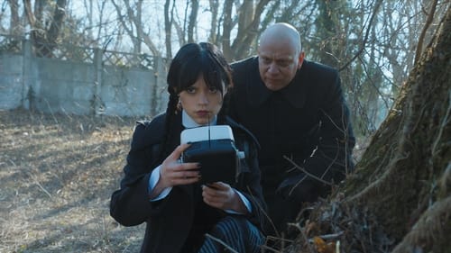 movies/2024-09-10/wednesday-aEmccS7KyFPQMAnuQ2C5sbyn5fc.jpg